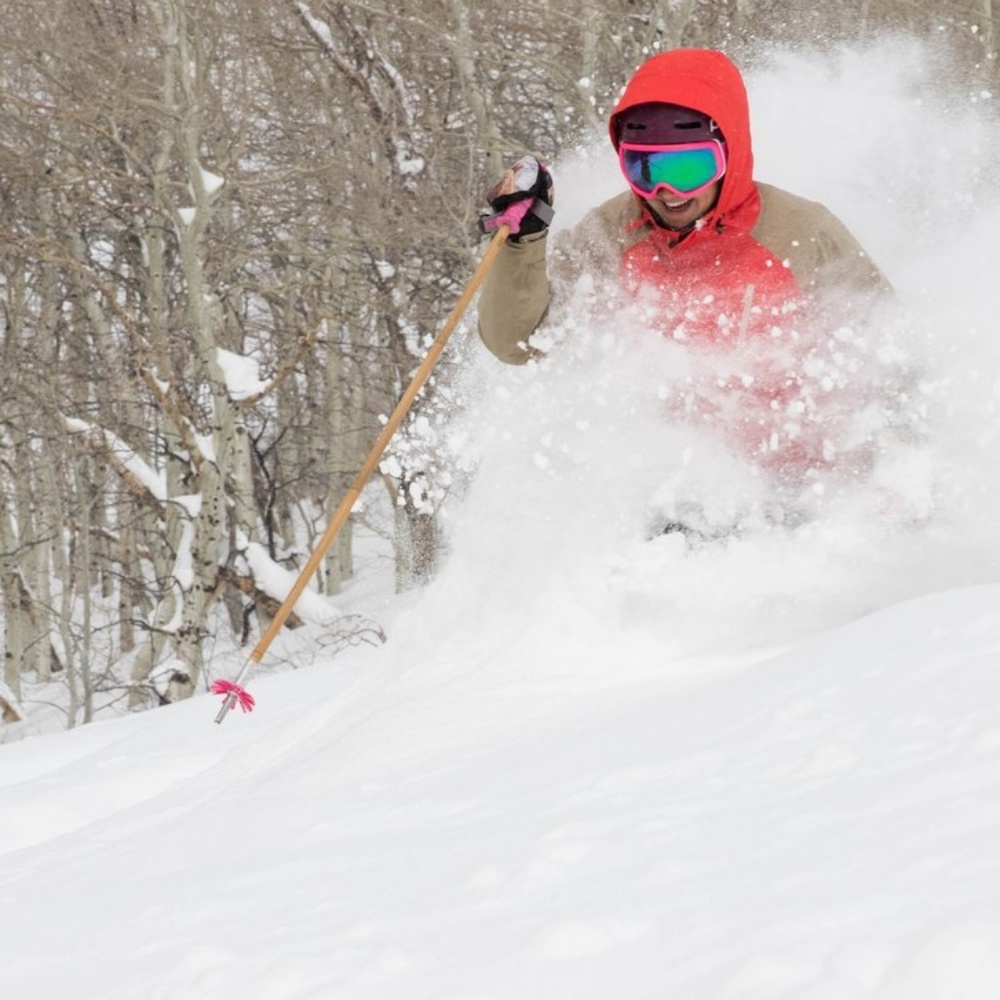 Meet your Posher, Sara